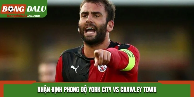 Nhận định phong độ York City vs Crawley Town